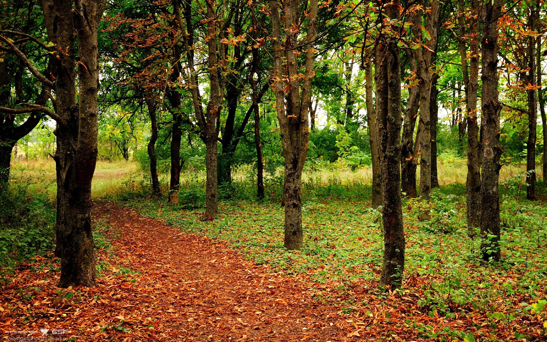 欧冠启示录，比利亚雷亚尔的战术完胜与坎特的统治时刻