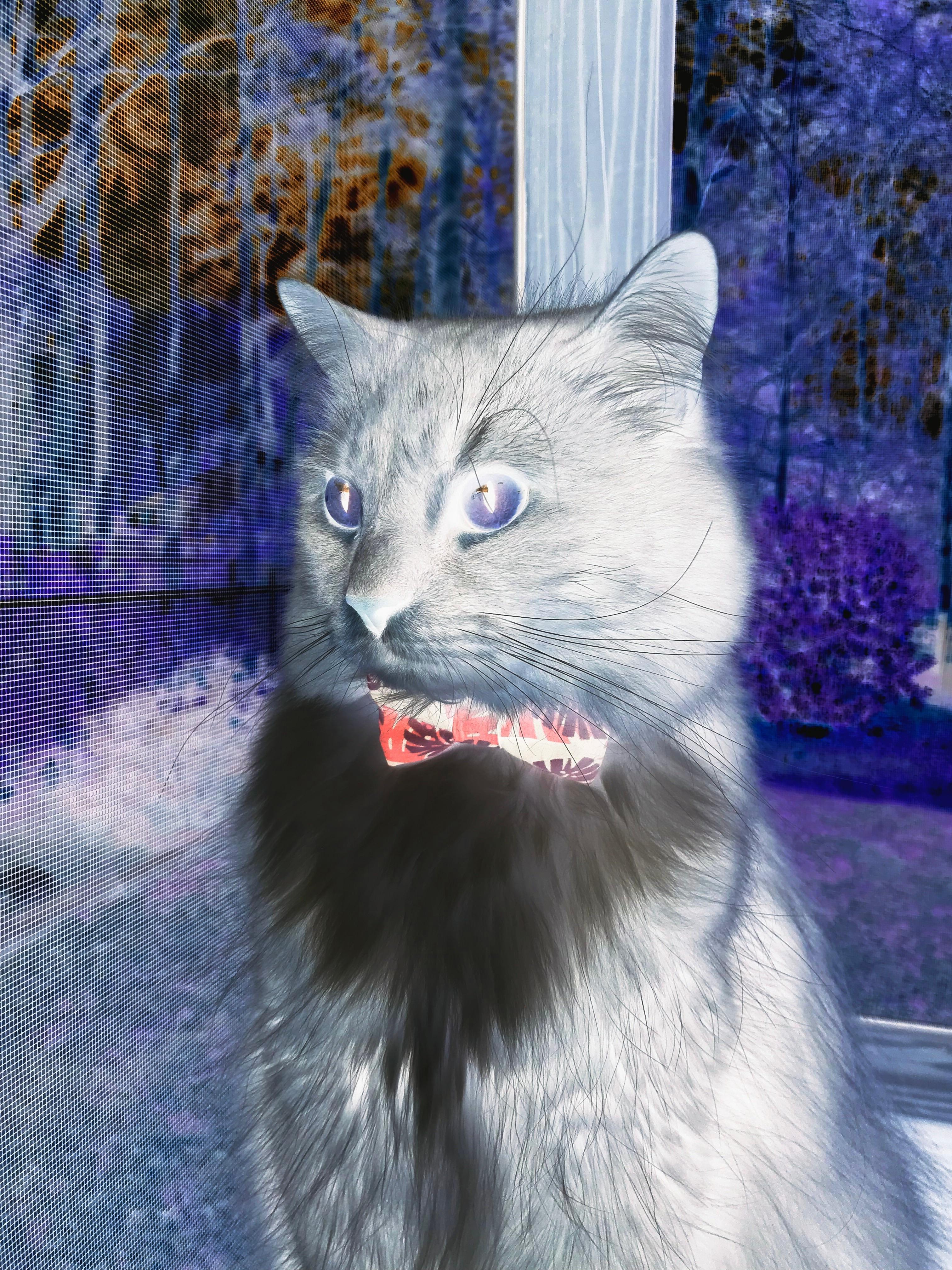 范弗利特关键战不手软，76人决胜局带走爵士