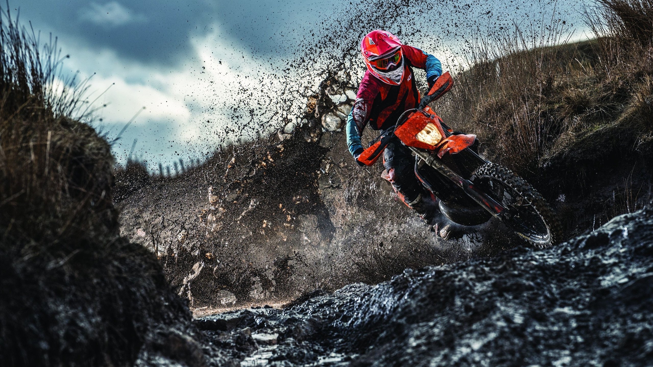 绿茵场上的乒乓智慧，当法国队完胜奥地利，许昕的统治哲学如何跨越赛场边界？